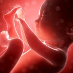 feto-soluco-barriga-bebe-placenta-gravidez-2