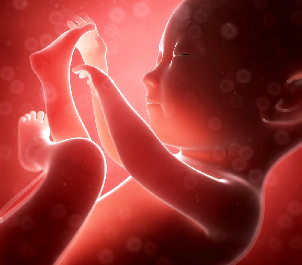 feto-soluco-barriga-bebe-placenta-gravidez-2
