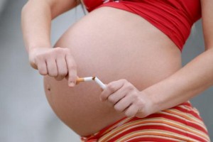 gravida nao fumante