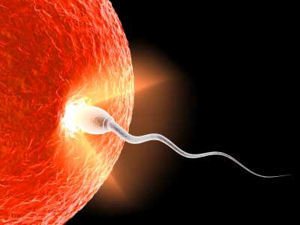 infertilidade-masculina
