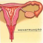 engravidar menstruada