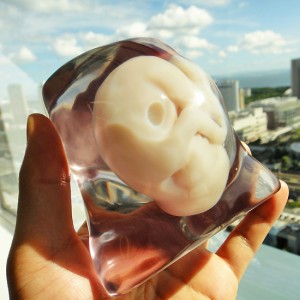 amostra feto em miniatura 3D
