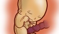 O bebê na semana 21 da gestação