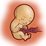 O bebê na semana 27 da gestação