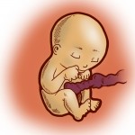 O bebê na semana 29 da gestação